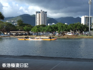 f0190653_136411.gif