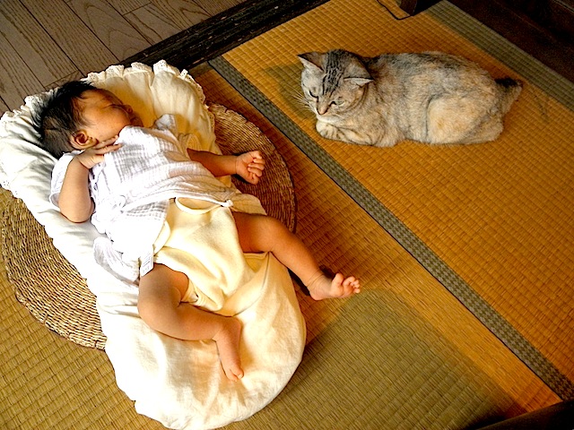 f0201157_1094363.jpg