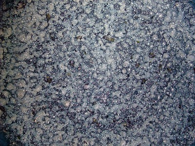 f0205857_15221942.jpg