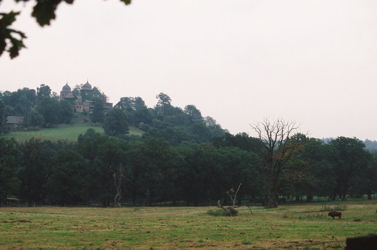 e0134658_14287.jpg