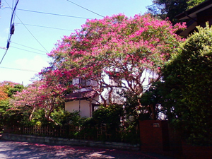 f0176458_10353036.jpg