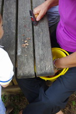 c0161459_2305991.jpg