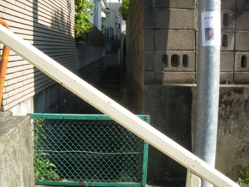 b0206463_18345861.jpg