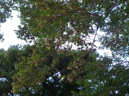 b0141664_0201480.jpg