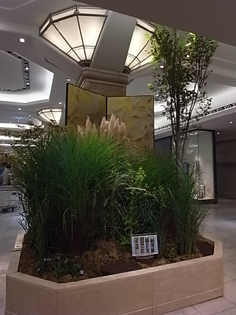 b0051666_8294727.jpg