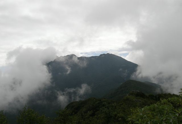 c0042869_19375885.jpg