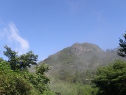 c0042869_200588.jpg
