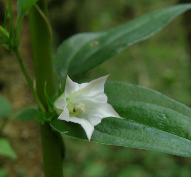 c0042869_2024154.jpg