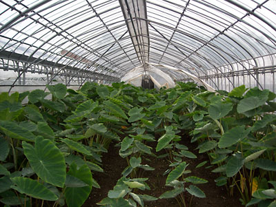 e0097770_2232149.jpg