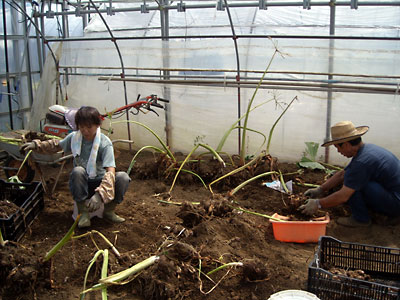 e0097770_22352052.jpg