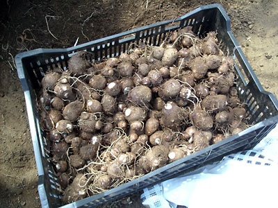 e0097770_22354727.jpg