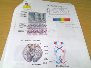 上智大学かこい.jpg