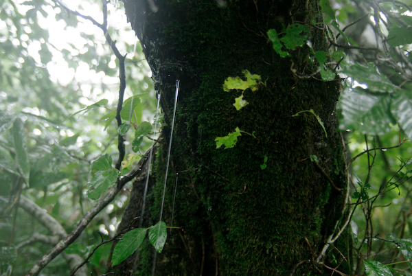 a0053783_7351037.jpg
