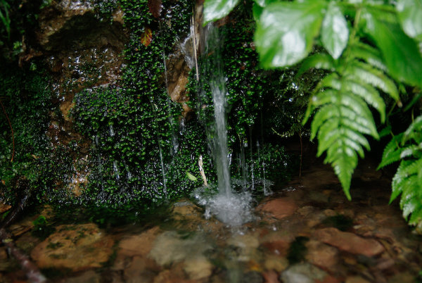 a0053783_7365865.jpg