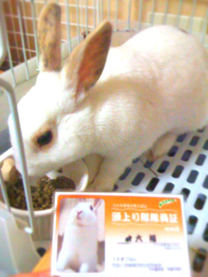 f0201191_7185220.jpg