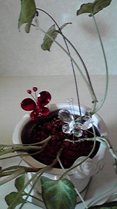 f0008692_0211055.jpg