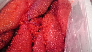 f0084695_12215592.jpg