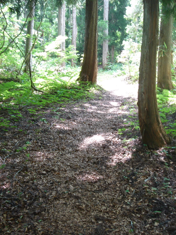 c0047602_21324970.jpg