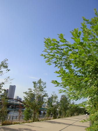 a0167803_0491674.jpg