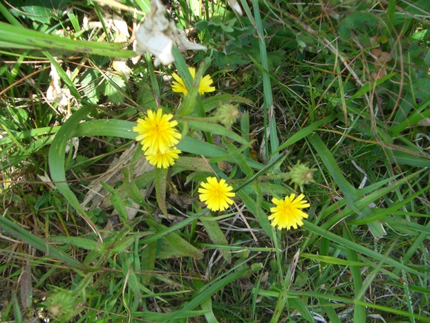 c0197004_12542463.jpg