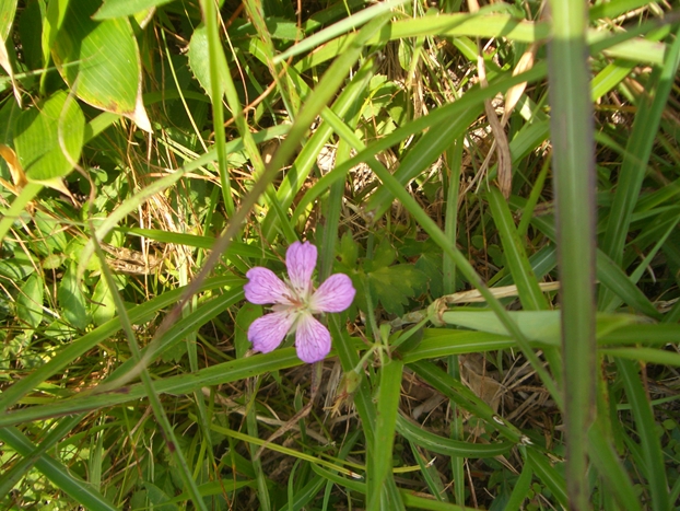 c0197004_12543595.jpg