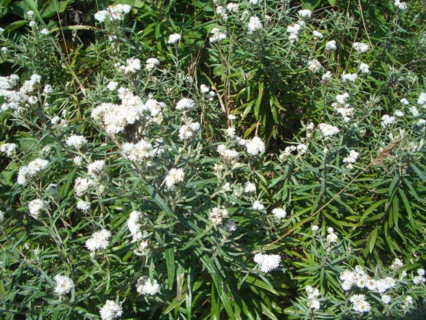 c0197004_12545866.jpg
