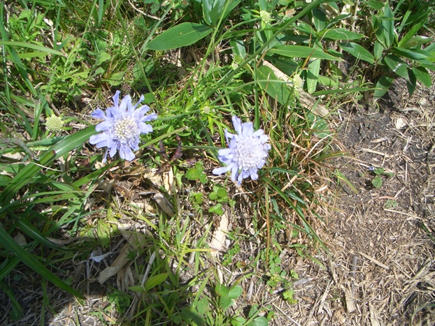 c0197004_12551187.jpg