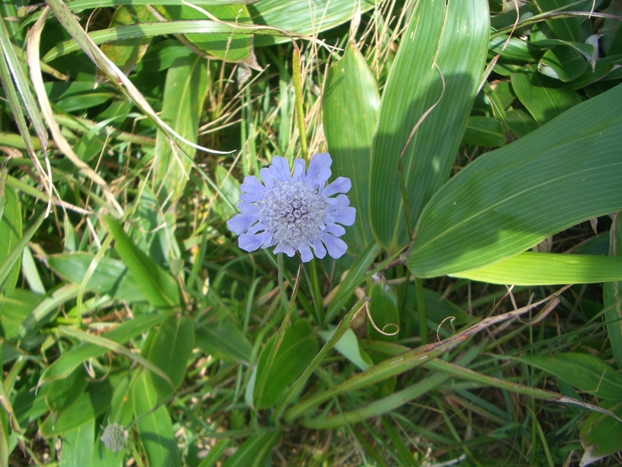 c0197004_12552358.jpg