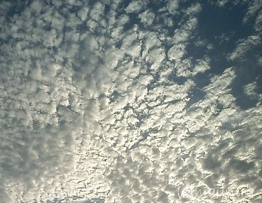 c0163006_1856147.jpg