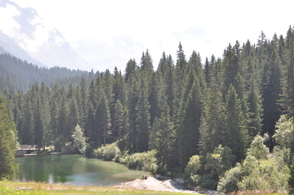 d0179006_2313168.jpg