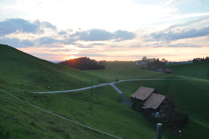 d0179006_23554394.jpg