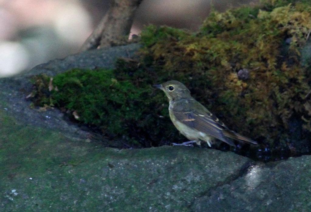 c0213607_22193391.jpg