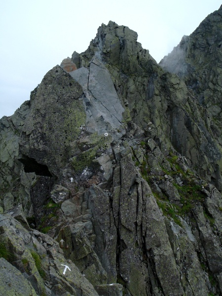 c0177814_22233736.jpg