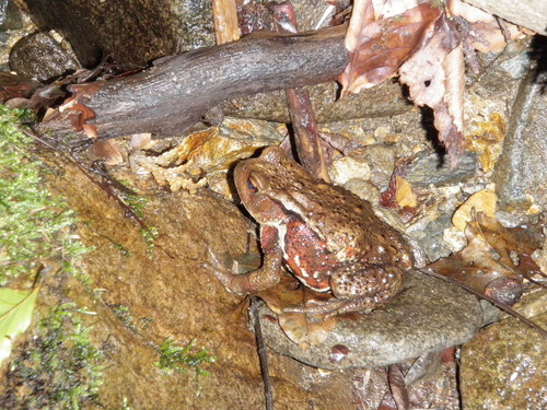 c0210618_2223845.jpg