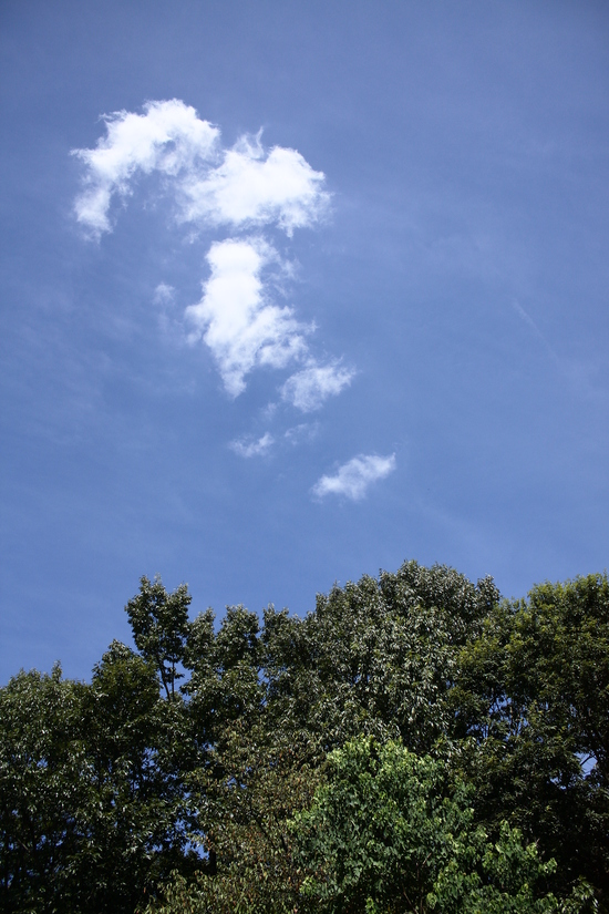 e0123322_9382720.jpg