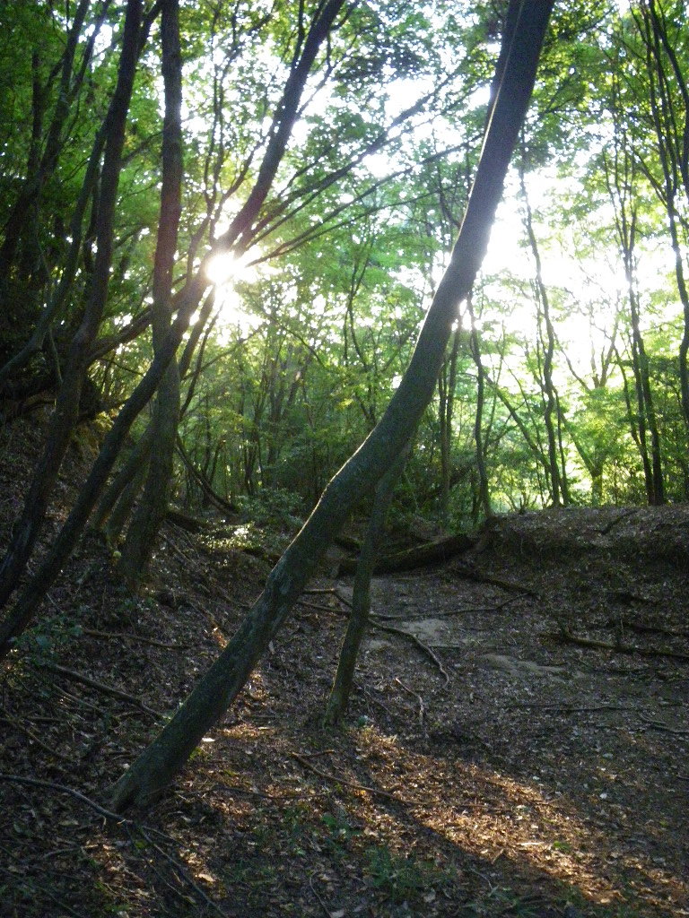 c0189724_19571733.jpg