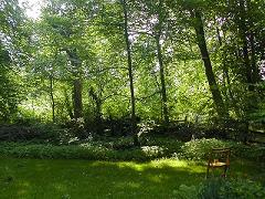 c0051529_1218258.jpg