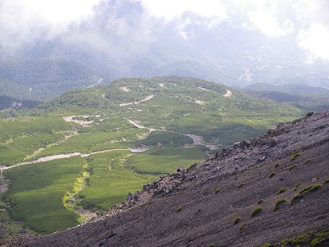 f0000330_1842738.jpg