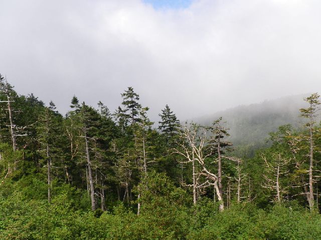 f0000330_1925525.jpg