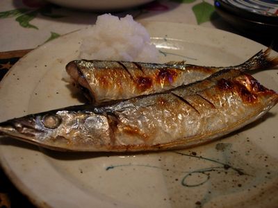 f0200433_191085.jpg
