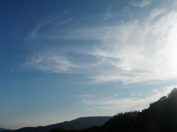 a0054240_21292574.jpg