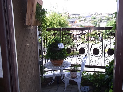 マメゾン店内7