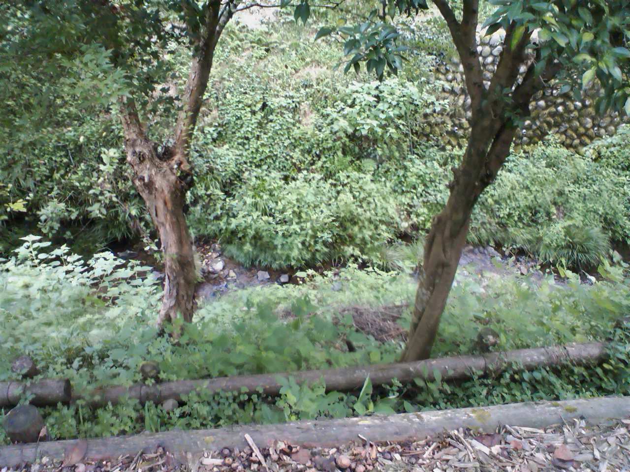 c0206645_19411810.jpg