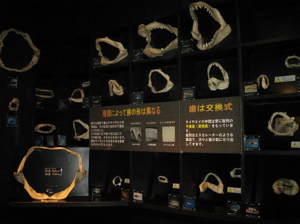 d0167045_0193462.jpg