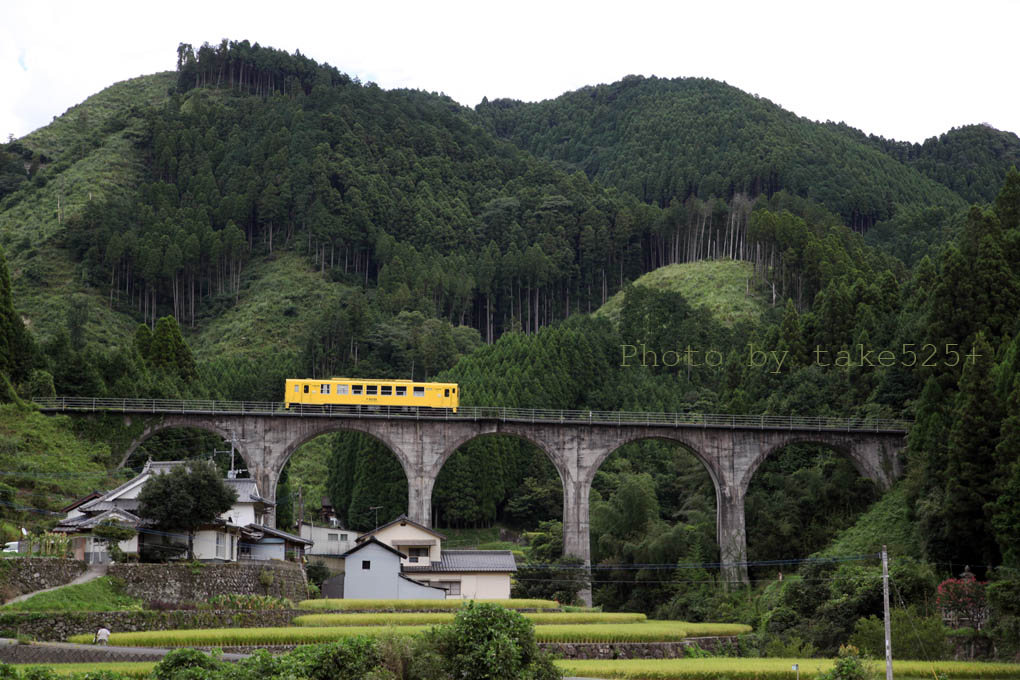 a0116946_12234516.jpg