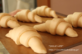 e0182147_0253418.gif