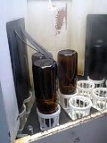 d0007957_22255681.jpg