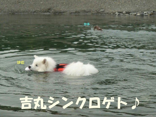 e0176159_2395711.jpg