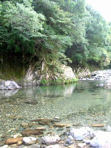 f0131263_22401838.jpg