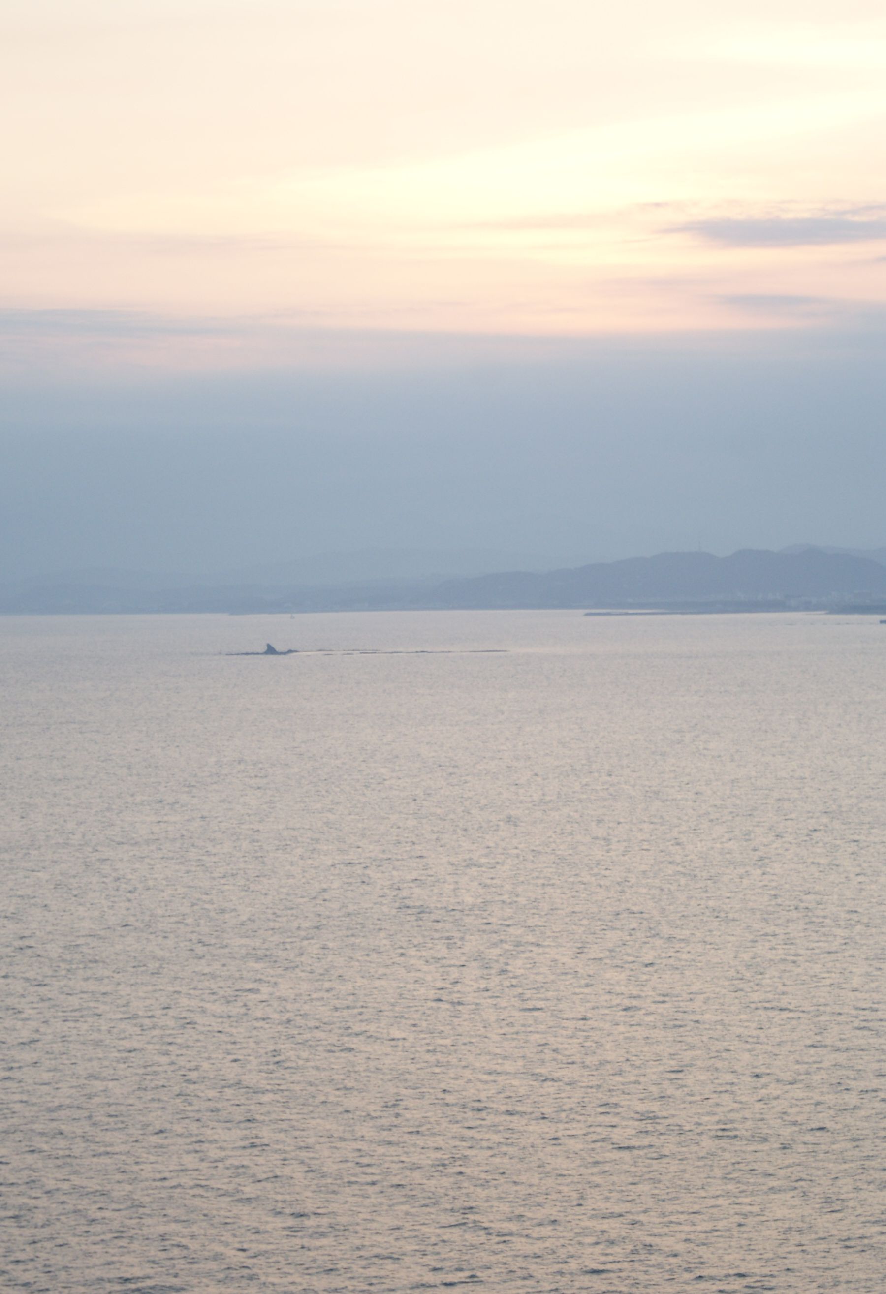 d0153864_0501241.jpg